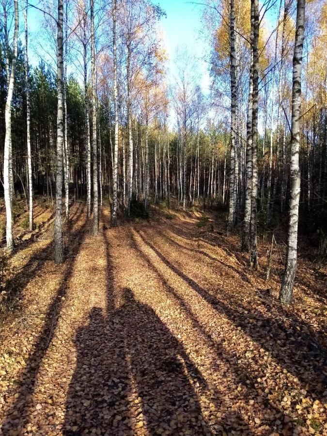 Siedlisko Czarny Dzieciol Appartement Narewka Buitenkant foto