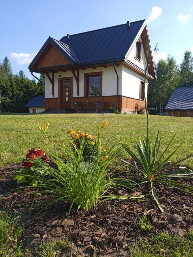 Siedlisko Czarny Dzieciol Appartement Narewka Buitenkant foto