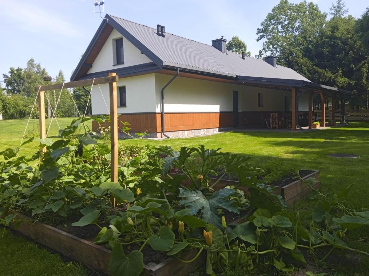 Siedlisko Czarny Dzieciol Appartement Narewka Buitenkant foto