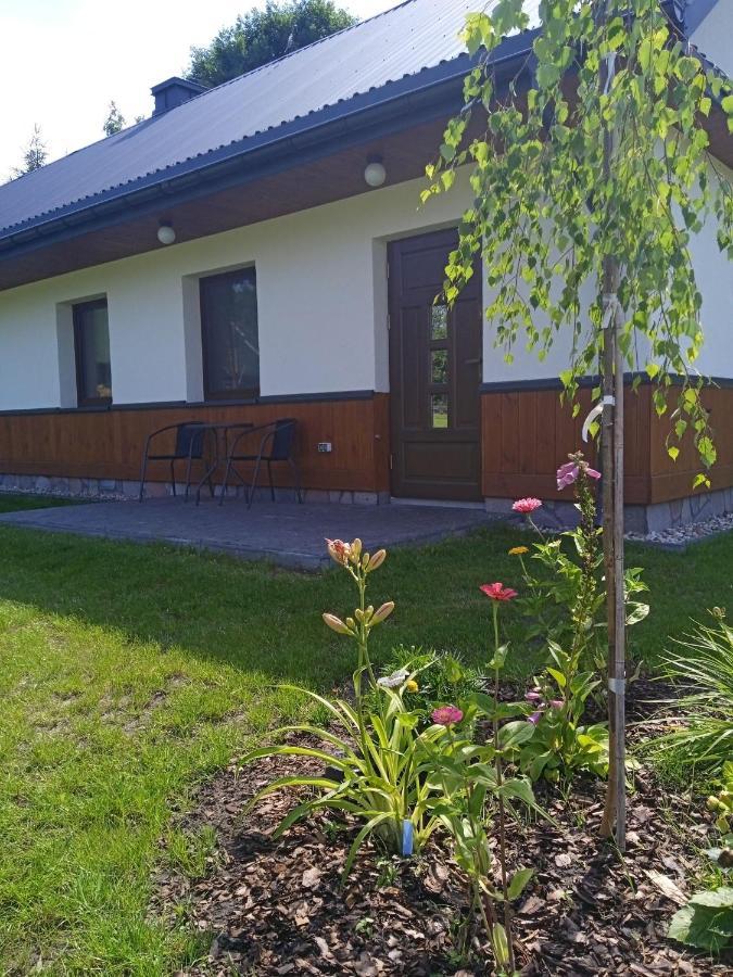 Siedlisko Czarny Dzieciol Appartement Narewka Buitenkant foto