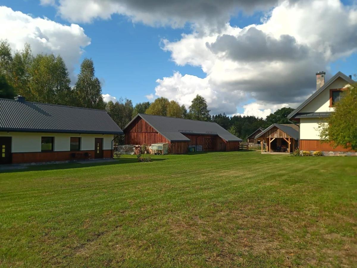 Siedlisko Czarny Dzieciol Appartement Narewka Buitenkant foto